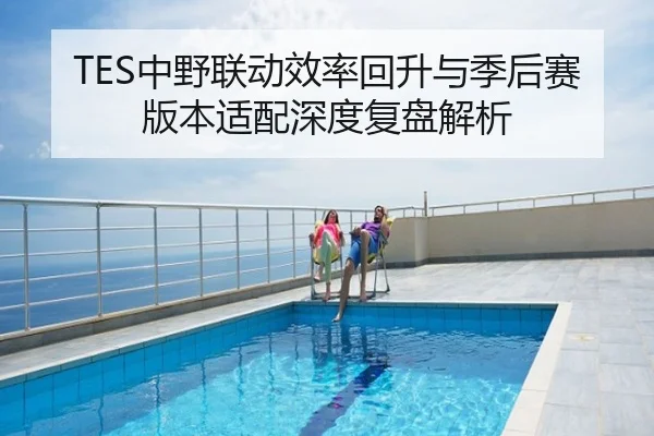 TES中野联动效率回升与季后赛版本适配深度复盘解析