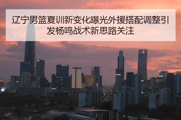 辽宁男篮夏训新变化曝光外援搭配调整引发杨鸣战术新思路关注