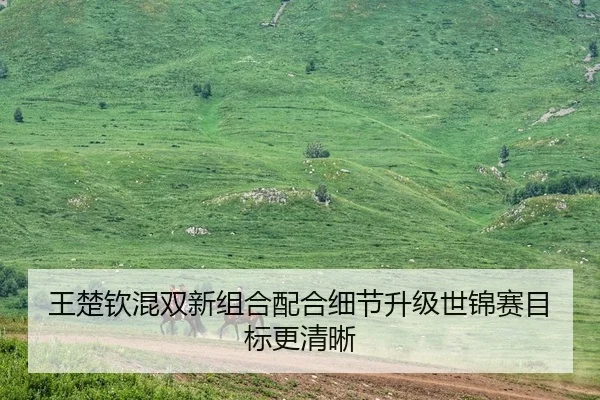 王楚钦混双新组合配合细节升级世锦赛目标更清晰