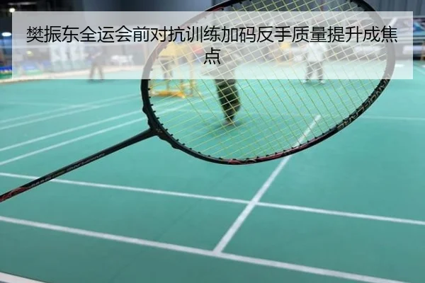 樊振东全运会前对抗训练加码反手质量提升成焦点
