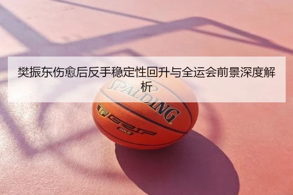 樊振东伤愈后反手稳定性回升与全运会前景深度解析